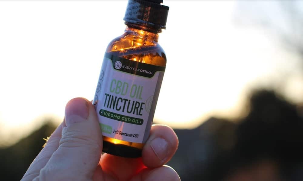 The CBD Tincture Made for your Pet