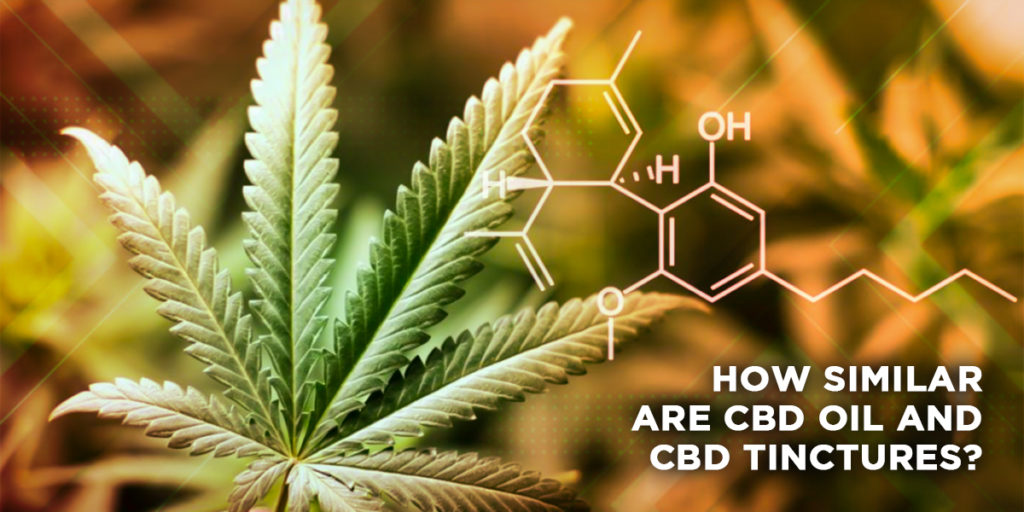 WHAT ARE THE ADVANTAGES OF CBD TINCTURES?